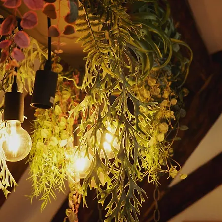 Urban Garden-appartement Appartamento